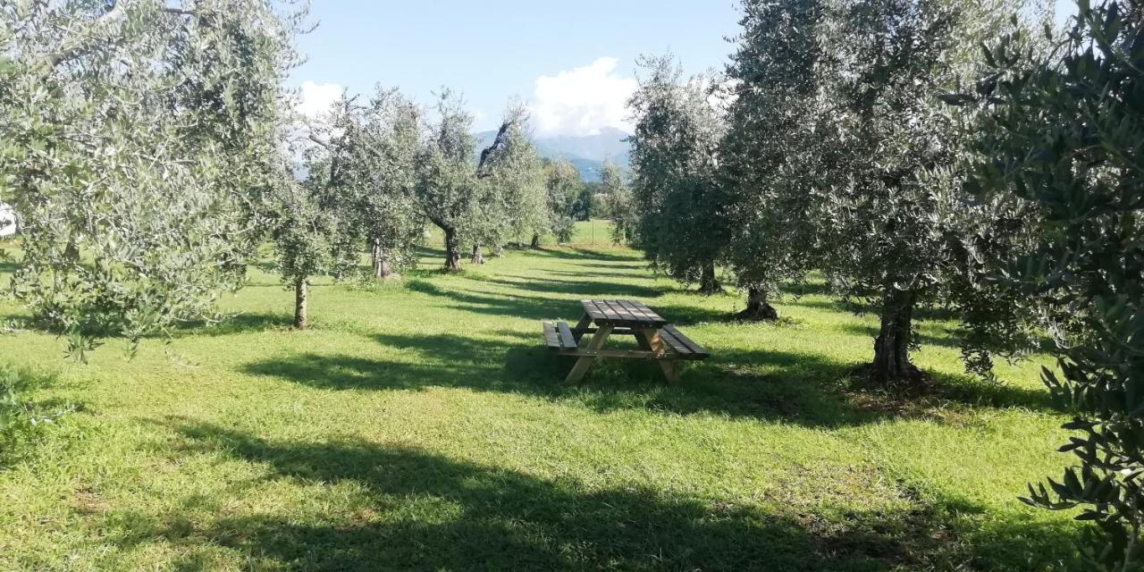 Agriturismo Fioralba Polpenazze del Garda Εξωτερικό φωτογραφία