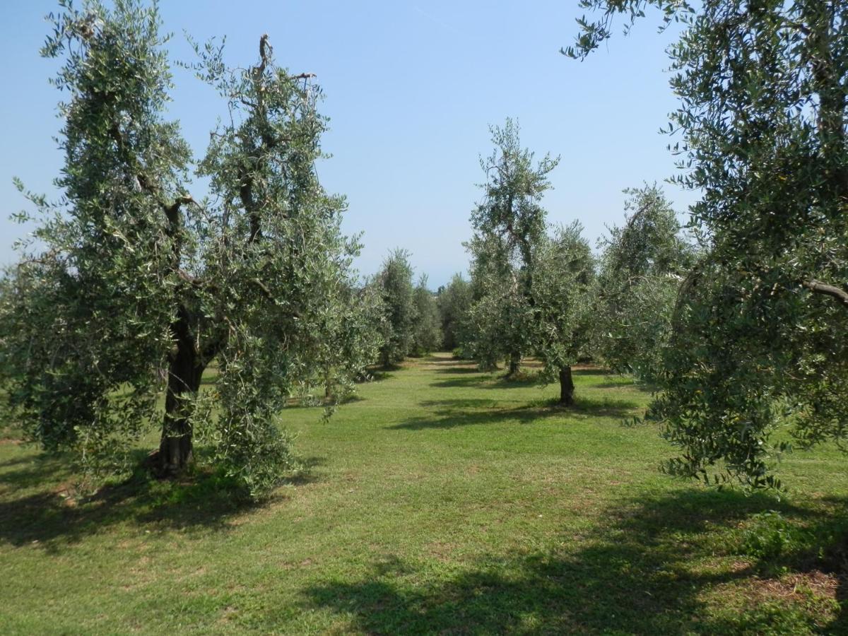 Agriturismo Fioralba Polpenazze del Garda Εξωτερικό φωτογραφία