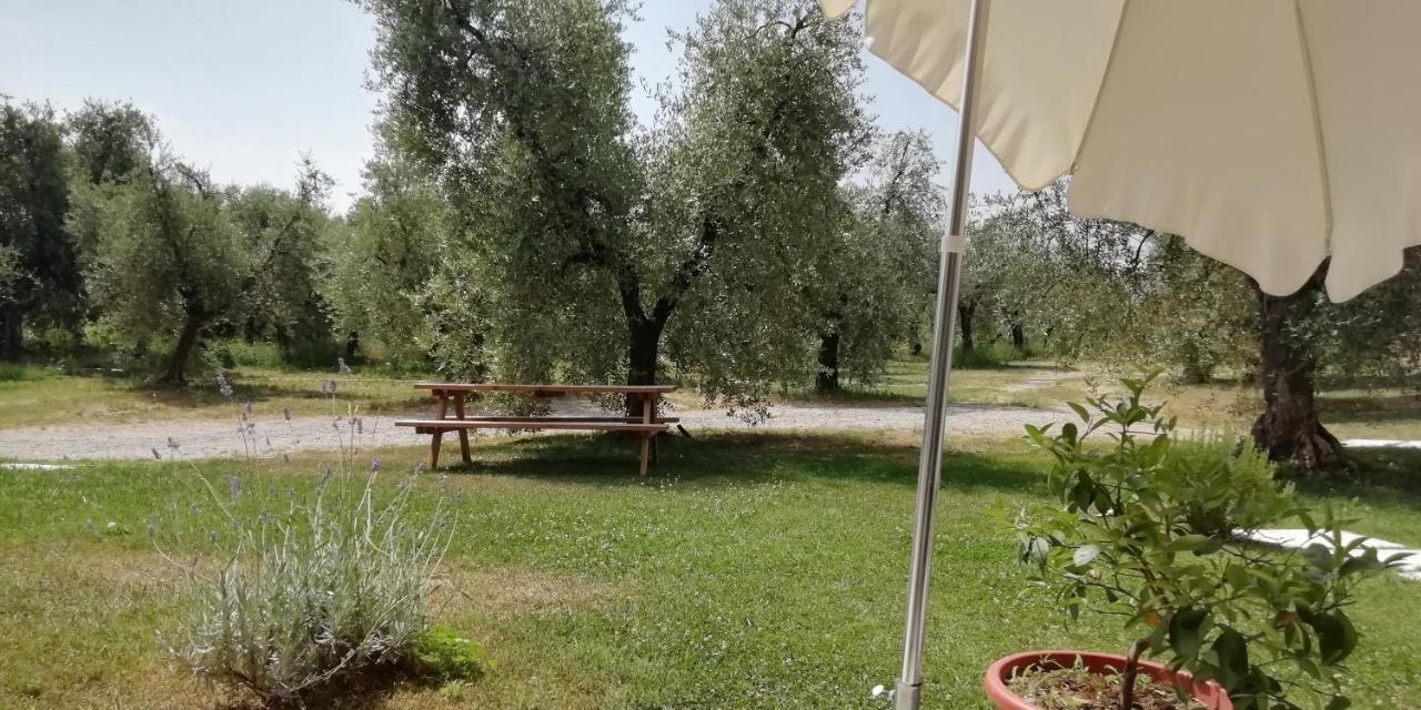 Agriturismo Fioralba Polpenazze del Garda Εξωτερικό φωτογραφία