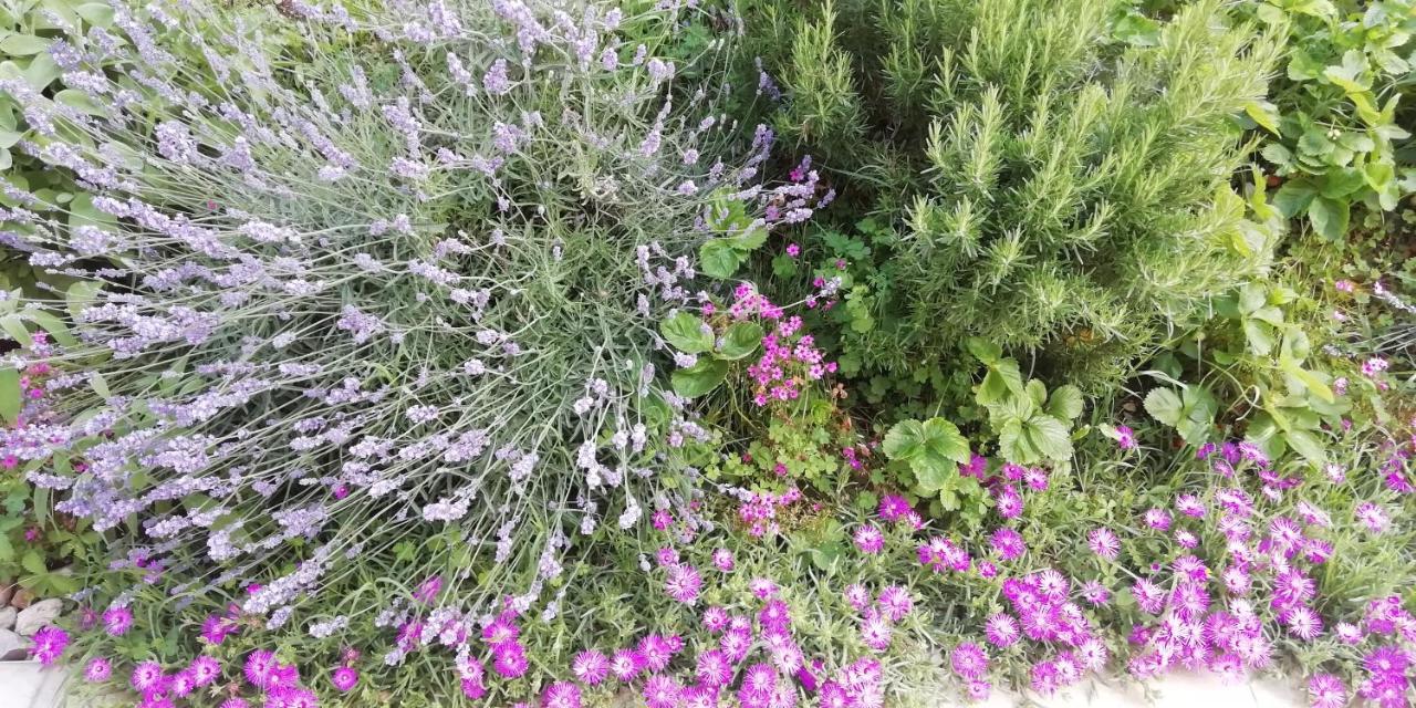 Agriturismo Fioralba Polpenazze del Garda Εξωτερικό φωτογραφία