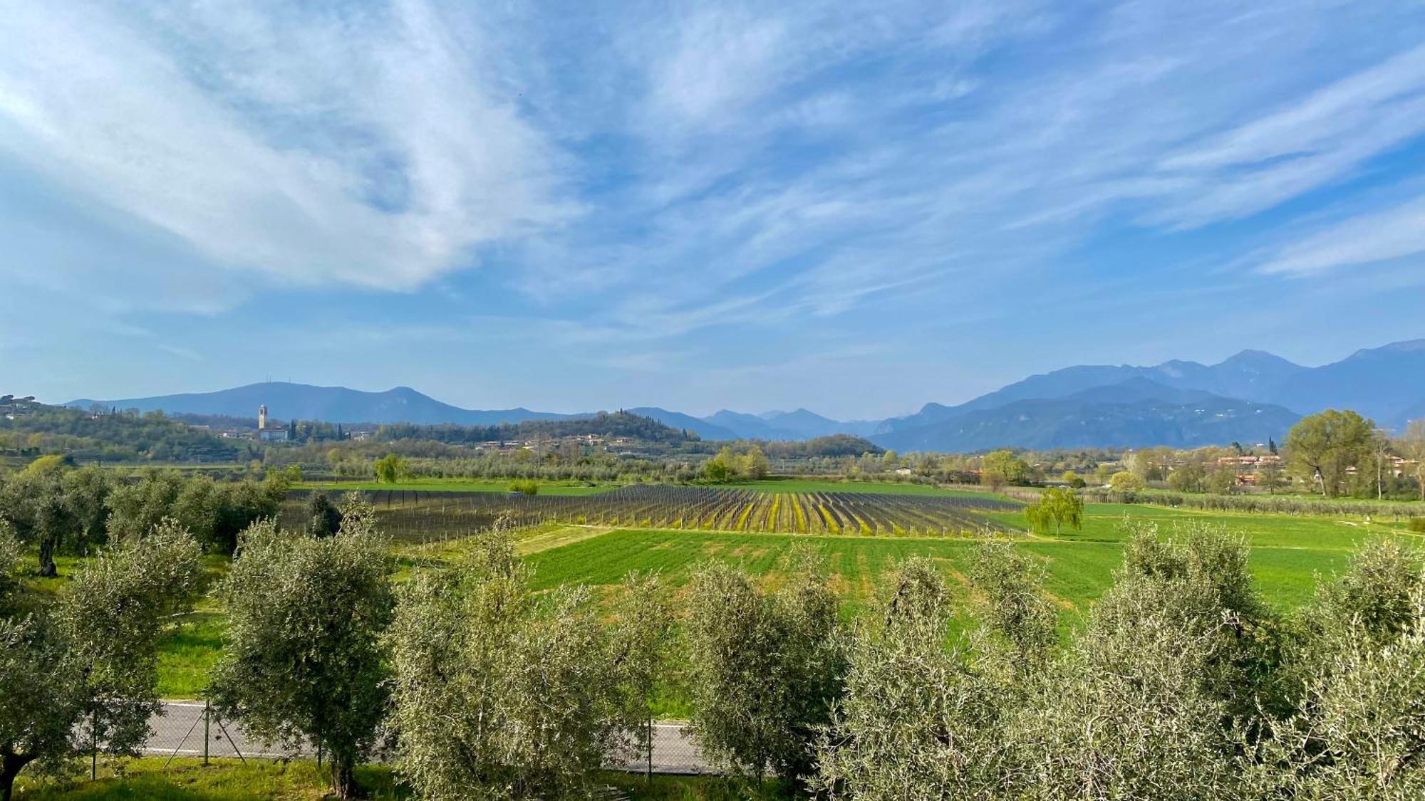 Agriturismo Fioralba Polpenazze del Garda Εξωτερικό φωτογραφία