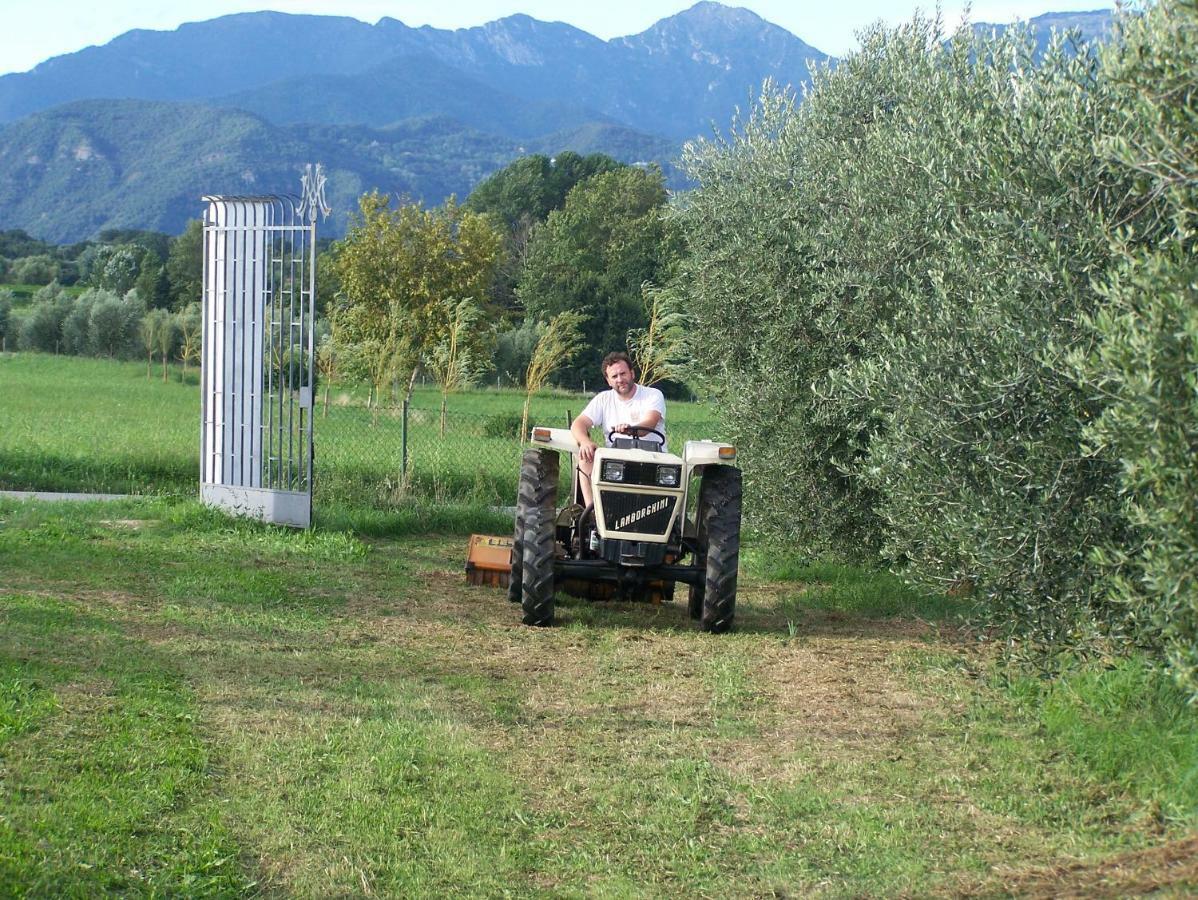 Agriturismo Fioralba Polpenazze del Garda Εξωτερικό φωτογραφία