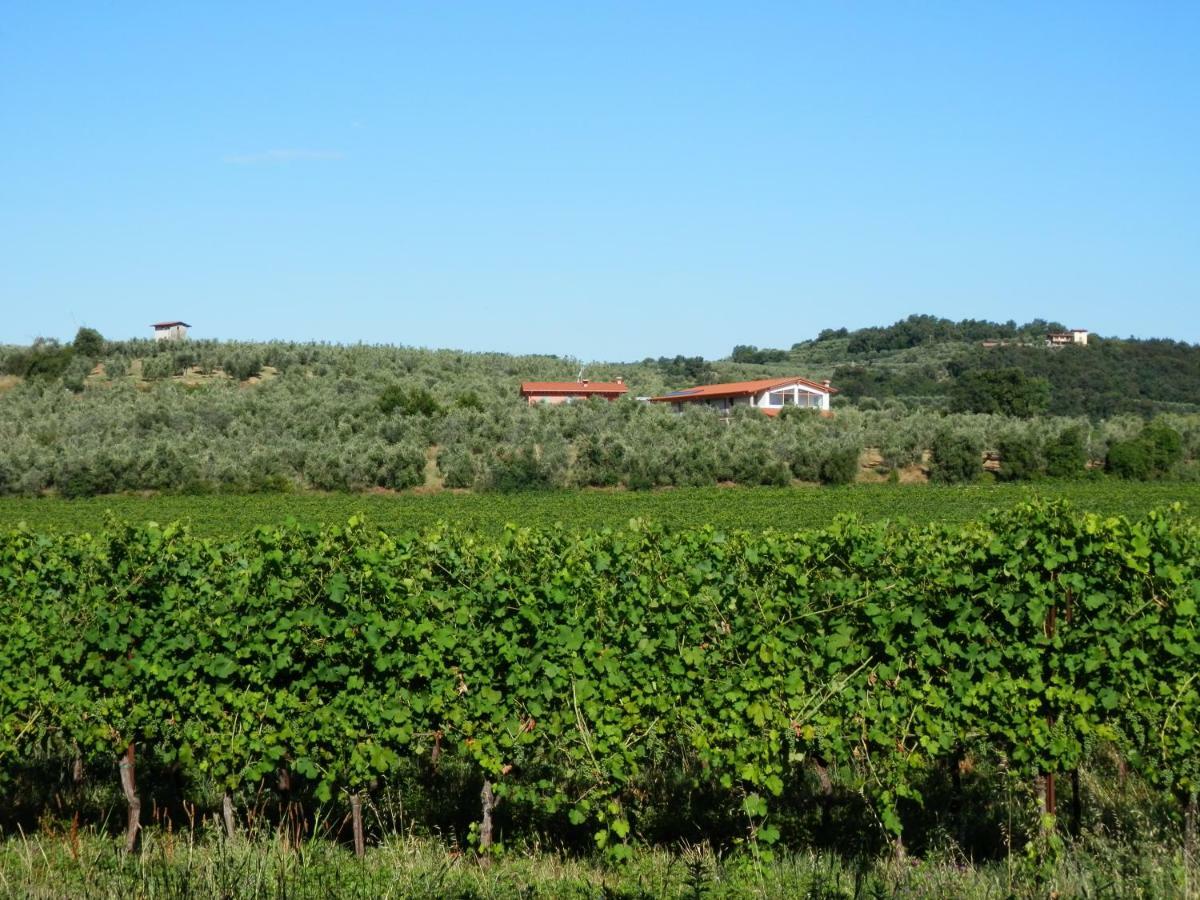 Agriturismo Fioralba Polpenazze del Garda Εξωτερικό φωτογραφία